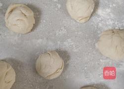 白菜猪肉包子的做法图解5