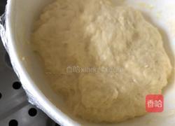 茴香小油条的做法图解5