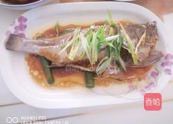 清蒸石斑鱼的做法图解5