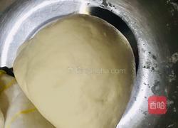 韭菜鸡蛋虾米水饺的做法图解2