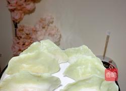 百财(白菜)水饺的做法图解19