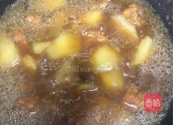 土豆烧鸡腿的做法图解7