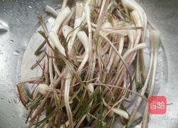 荞头鲜肉包的做法图解2