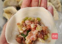大葱猪肉饺的做法图解4