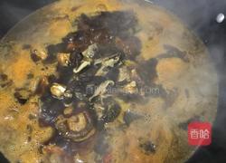 土豆烧鸡块的做法图解13