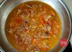 西红柿牛腩(简易版)的做法图解7