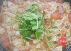 西红柿酸辣汤的做法图解15