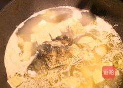 鲫鱼豆腐汤的做法图解12