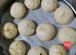 素菜包子的做法图解5