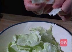 炝炒圆白菜（手撕包菜）的做法图解3