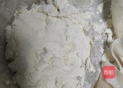 自制奶酪的做法图解6