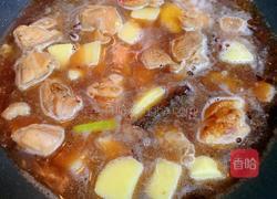 鸡肉炖土豆的做法图解3