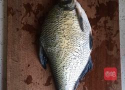 孔雀?开屏（武昌魚）的做法图解1