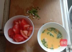 番茄炒鸡蛋的做法图解2