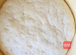 好吃的烤箱披萨的做法图解1