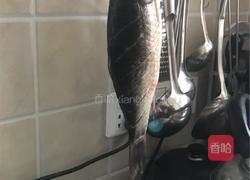 烧鲫鱼的做法图解1