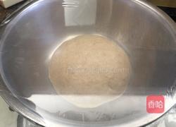 全麦蔓越莓奶酥面包的做法图解4