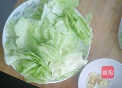 糖醋手撕包菜的做法图解1