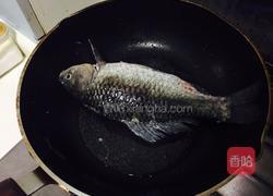 鲫鱼炖豆腐的做法图解2