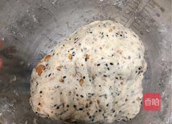 简单易做坚果欧包的做法图解4