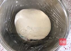 羊肉胡萝卜大包子的做法图解1