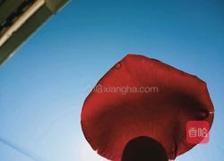 玫瑰酱的做法图解3