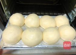 蜂蜜小餐包的做法图解8