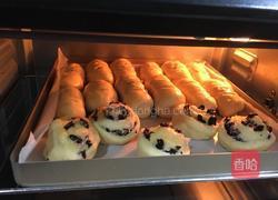 火腿肉松面包的做法图解4