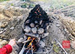 农家土窑鸡的做法图解3