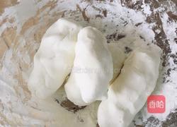 三彩翡翠餃子?的做法图解9