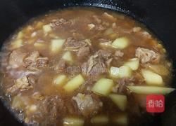 西红柿炖牛腩的做法图解8