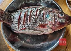 红烧罗非鱼的做法图解2