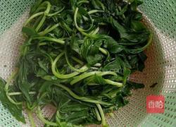 凉拌马兰头的做法图解2