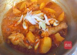 韩式辣炖鸡块儿的做法图解5