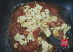 西红柿炒蛋便当的做法图解8