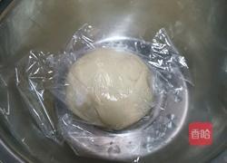 彩色鲜肉包的做法图解4