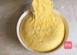 南瓜香葱花卷的做法图解10