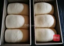 蔓越莓牛奶吐司的做法图解13