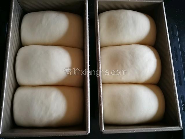 发酵至9分满，准备预热烤箱。