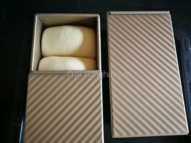 盖上吐司盒子盖。