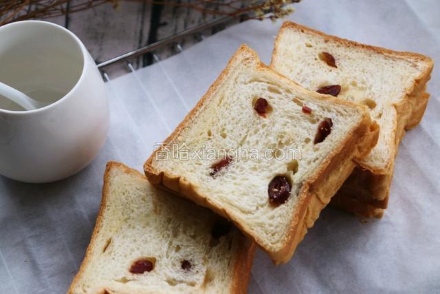 半小时后切片拍照。