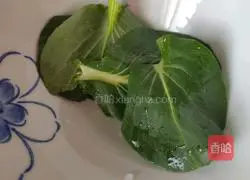 Illustration of how to make fried minced pork bento 7