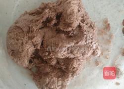 直接发酵巧克力椰蓉土司的做法图解3