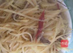 香辣土豆丝的做法图解8
