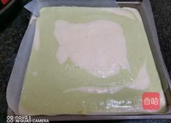 自制双色蛋糕的做法图解29
