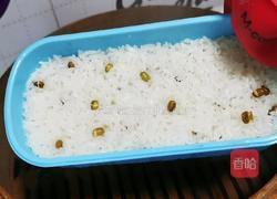 酸豇豆炒肉沫便当的做法图解9