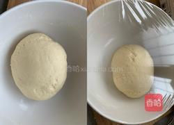 家庭版披萨的做法图解6