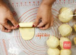 乳酪面包的做法图解19