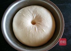 奶黄芝士棒(汤种)的做法图解21