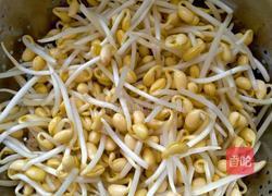 牛肚豆芽汤的做法图解3